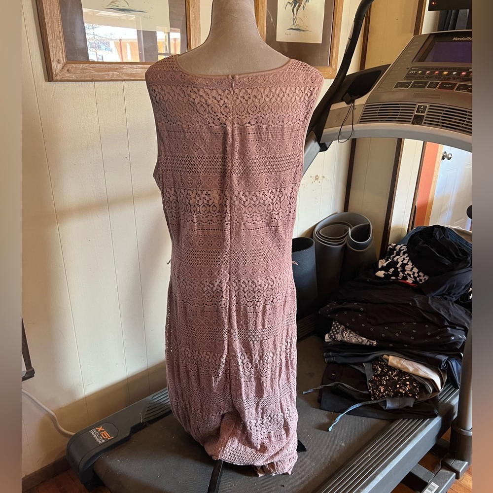Long Tall Sally Pink Lace Maxi Dress - Picture 2 of 3
